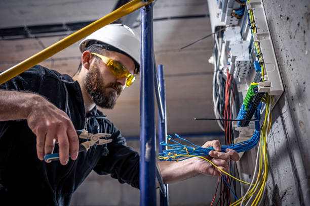 Best Electrician for Home Renovation  in Toro Nyon, CA
