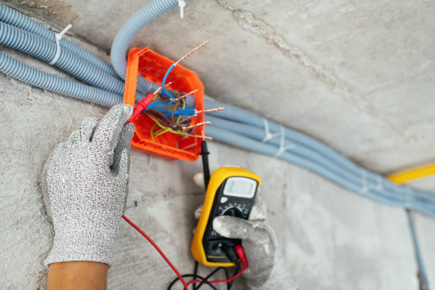 Best Local Electrician Companies  in Toro Nyon, CA